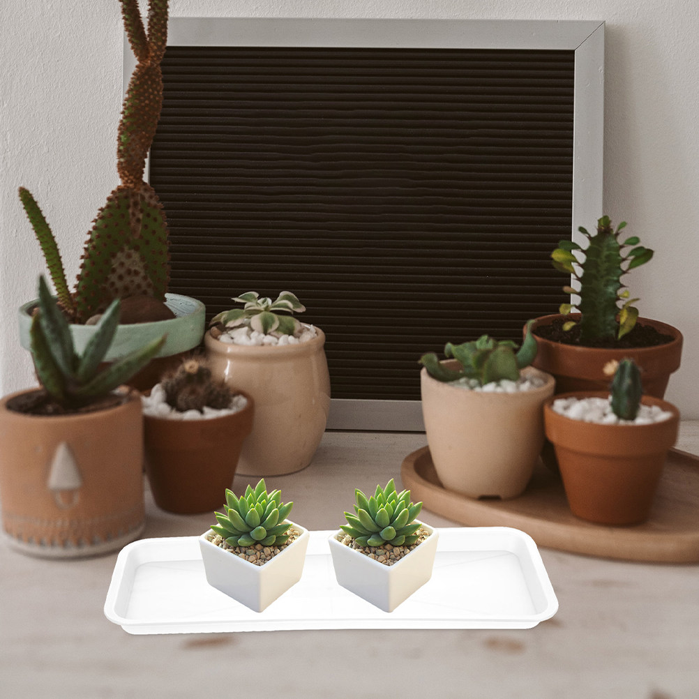Drip Tray Saucer - 5 قطع من صواني النباتات المستطيلة