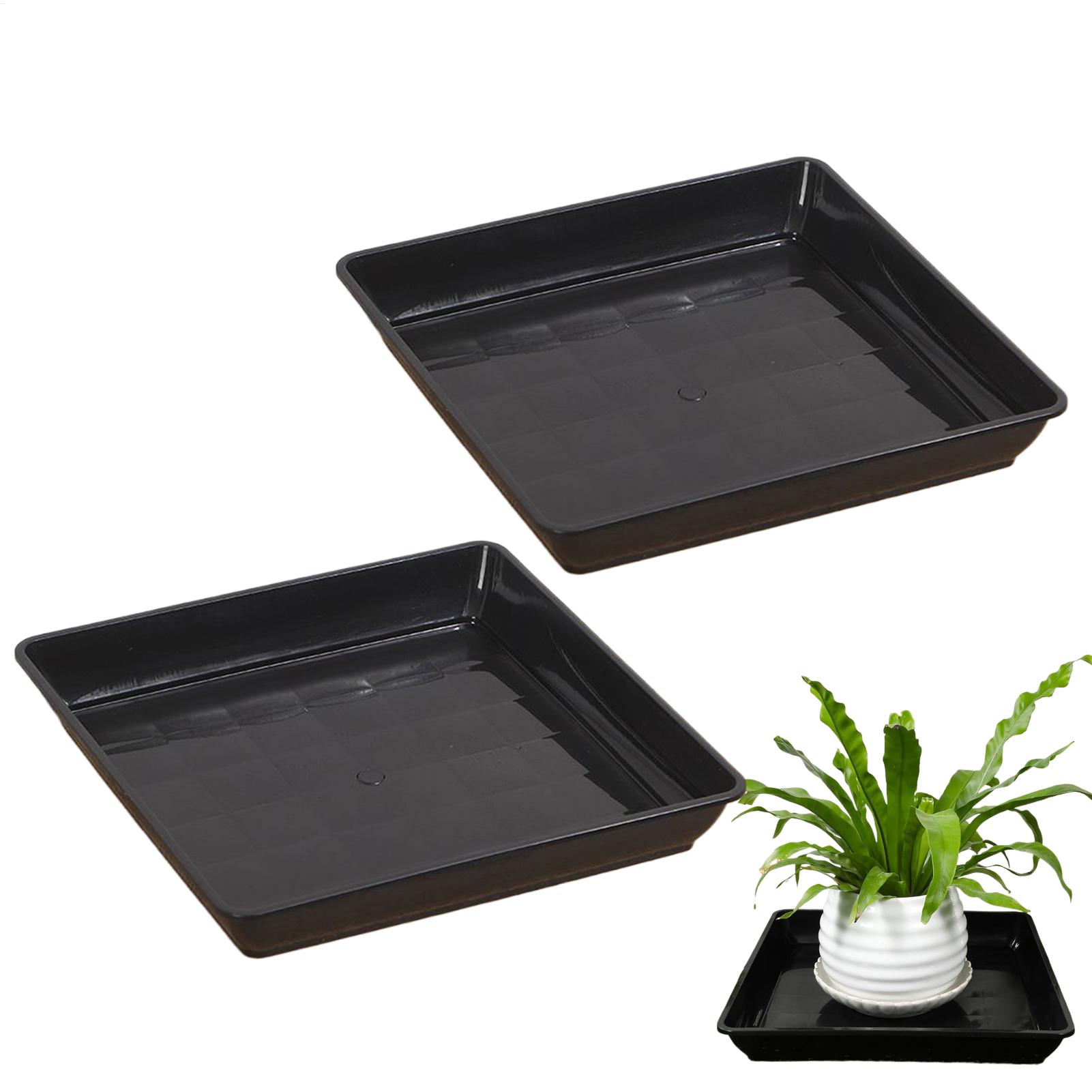 صواني نباتات للأصص، قطعتين، صح - مراجعة Drip Tray Saucer وسعره